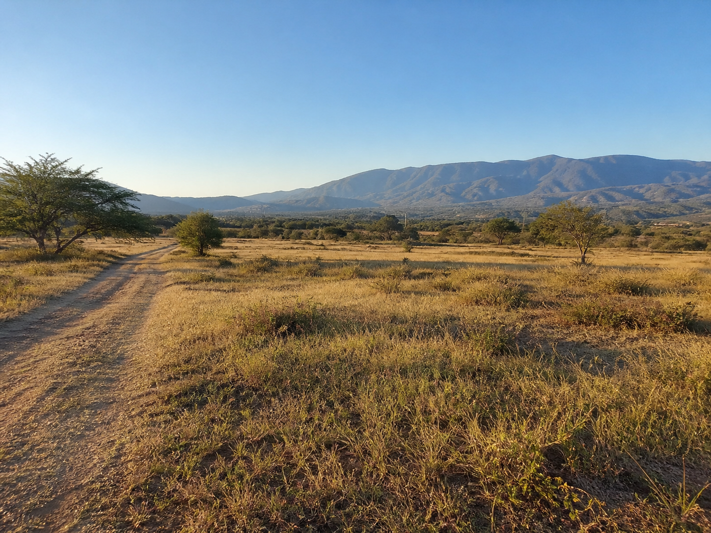 Staging · Terreno campestre en Oaxaca